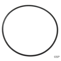 Aquaflo FM XP2 / XP2E Pump Body O-Ring