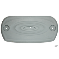 Artesian Spas Platinum class filter lid