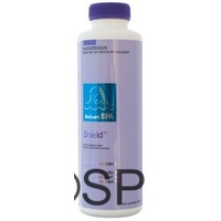 Bioguard Spa Shield - Calcium Hardness increaser 450g