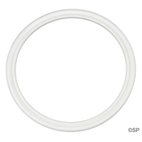 LA Spas Aqua Klean filter bag O-Ring