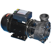 LX Hydromassage / Whirlpool LP200 spa pump - single speed - 2.0hp