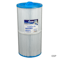 Caldera Spas 75 Replacement Pleated Cartridge Filter