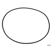 Filtermaster Pump Body O-Ring