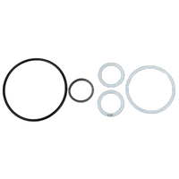 Rising Dragon 2" Diverter Valve O-Ring Seal Kit