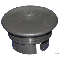 Spa Industries Bullfrog Spas / Signature Spas Platinum Nature 2 Cartridge End Cap