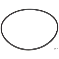 Sundance Spas TheraMax Pump Body O-Ring