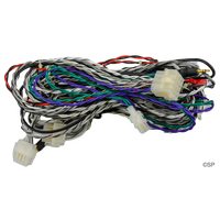 Poly Planar spa stereo wiring harness assembly