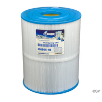 270mm L x 215mm D Hot Spring Spas 65 sqft filter cartridge