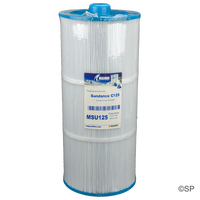 480mm L x 215mm D Sundance spas 125 Double Ended Filter
