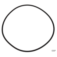 Waterco Opal Filter Lid O-Ring