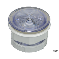 Waterway 3.5" Light Housing Assembly  Plastic Lens, Lock Nut