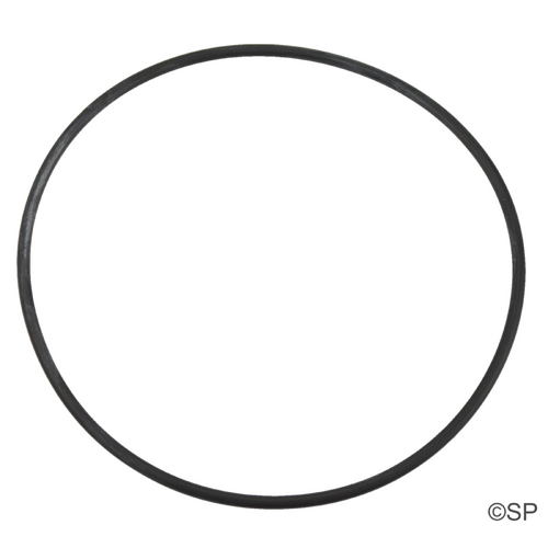 Aquaflo FM XP2 / XP2E Pump Body O-Ring