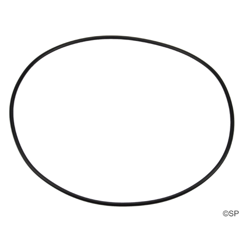 Filtermaster Pump Body O-Ring