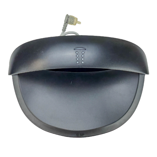 Bullfrog Spas Rising Dragon LED External Cabinet Sconce Light - 2 wire Pinnacle lighting