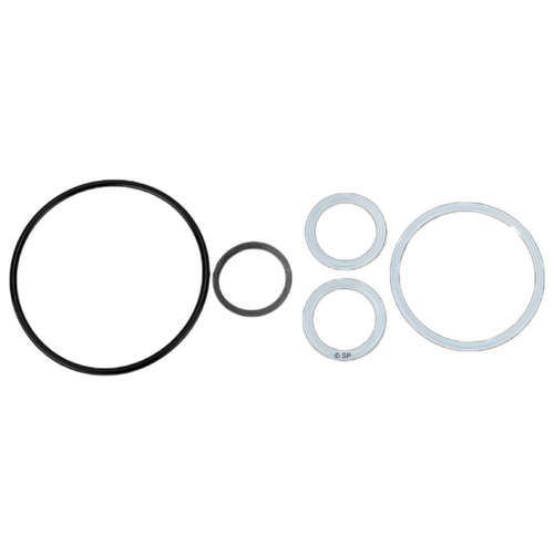 Rising Dragon 2" Diverter Valve O-Ring Seal Kit