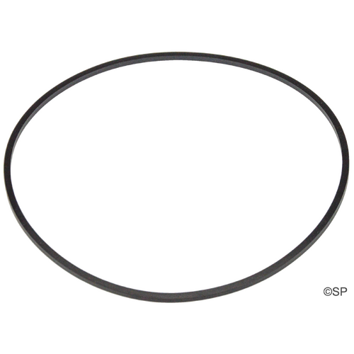 Sundance Spas TheraMax Pump Body O-Ring