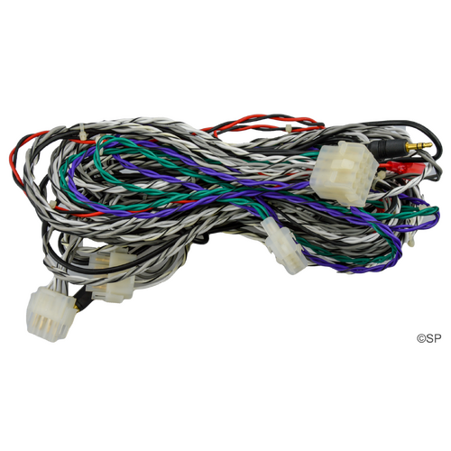 Poly Planar spa stereo wiring harness assembly