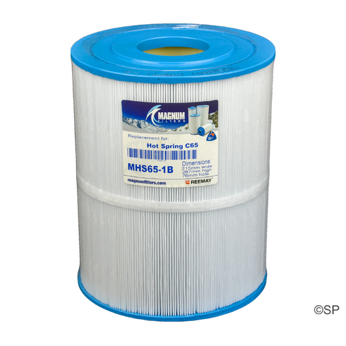 270mm L x 215mm D Hot Spring Spas 65 sqft filter cartridge