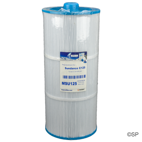 480mm L x 215mm D Sundance spas 125 Double Ended Filter
